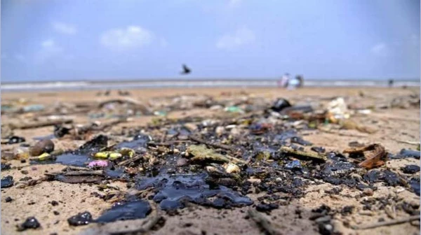 मुंबईतील 6 समुद्रकिनाऱ्यांवरून 950 टनांहून अधिक कचरा साफ